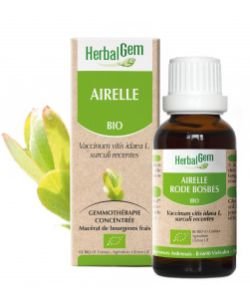 Airelle (Vaccinium V.I.) bourgeon BIO, 15 ml